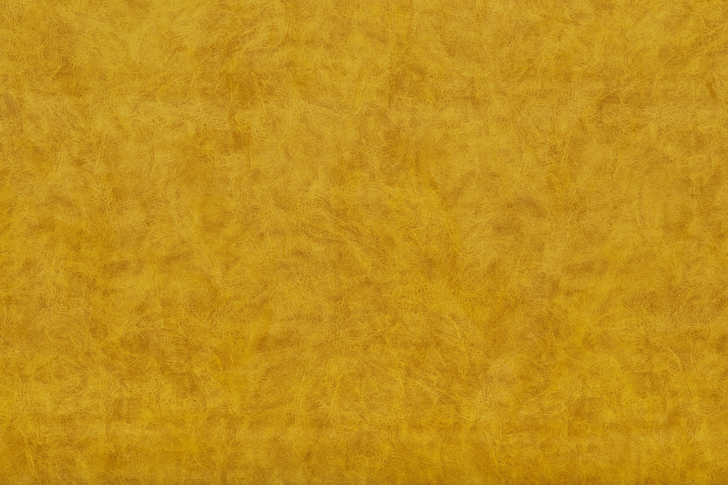Camel_09